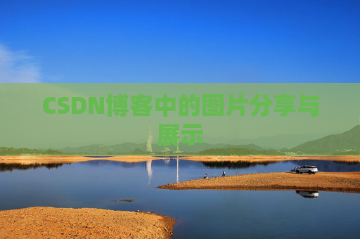 CSDN博客中的图片分享与展示
